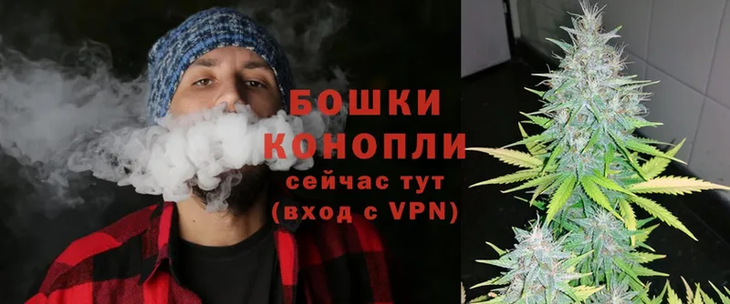 mega ссылка  Новосиль  Бошки Шишки Ganja 